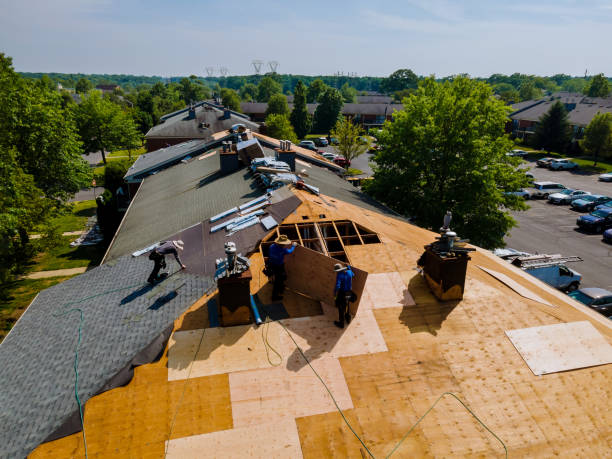 Best Roof Maintenance Services  in Newburg, WI